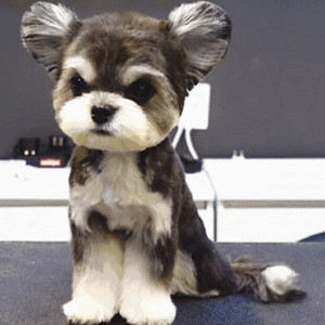 中国老头老妇七ube
