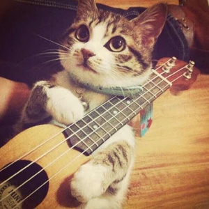 中国老头老妇七ube
